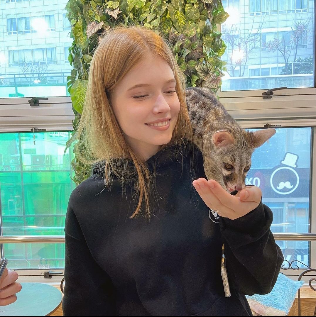 kiarafont's tweet photo. 🦝🐾💛 https://t.co/xMvGijYV9W