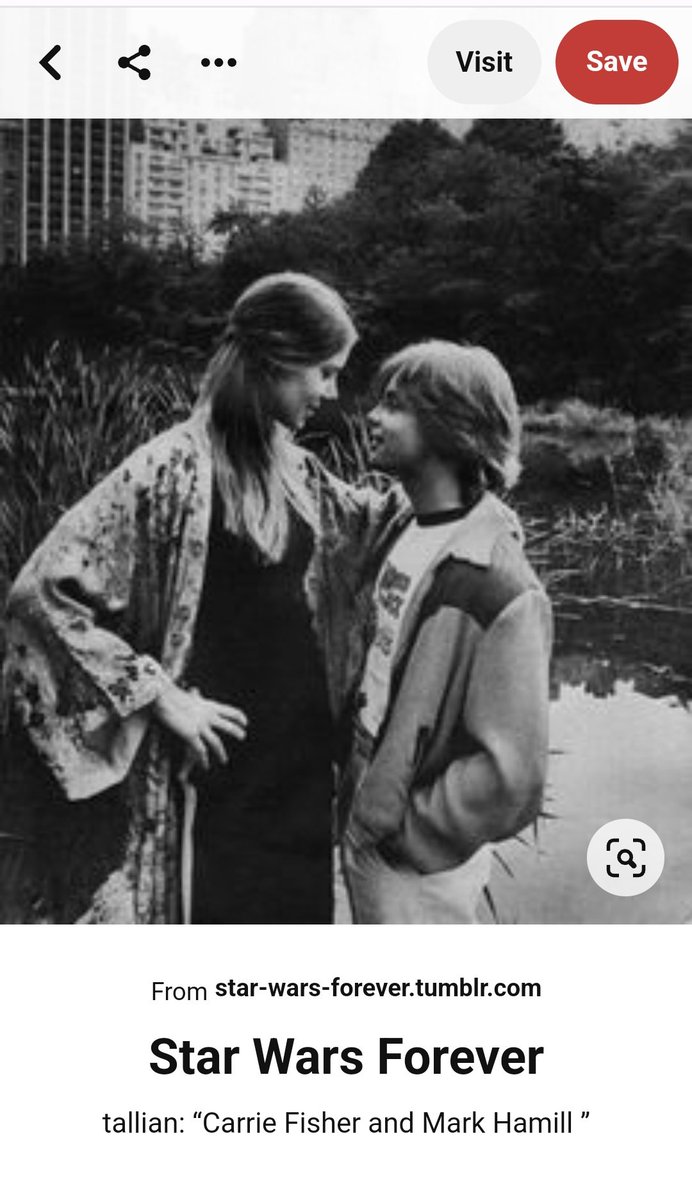 LadyBugC421's tweet photo. @CathyStanleyCA From Pinterest, where I first saw it: https://t.co/wFW8AcbtgC