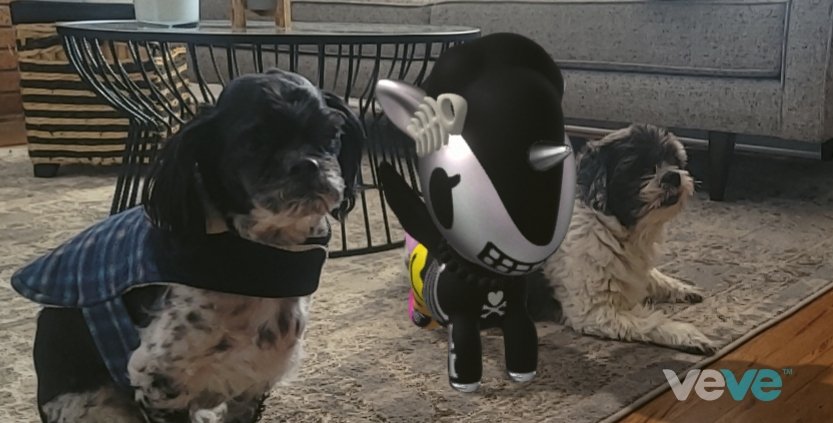 #VeVecollectibles #veve #vevemexico New addition to the fam. Nueva addision a la familia.