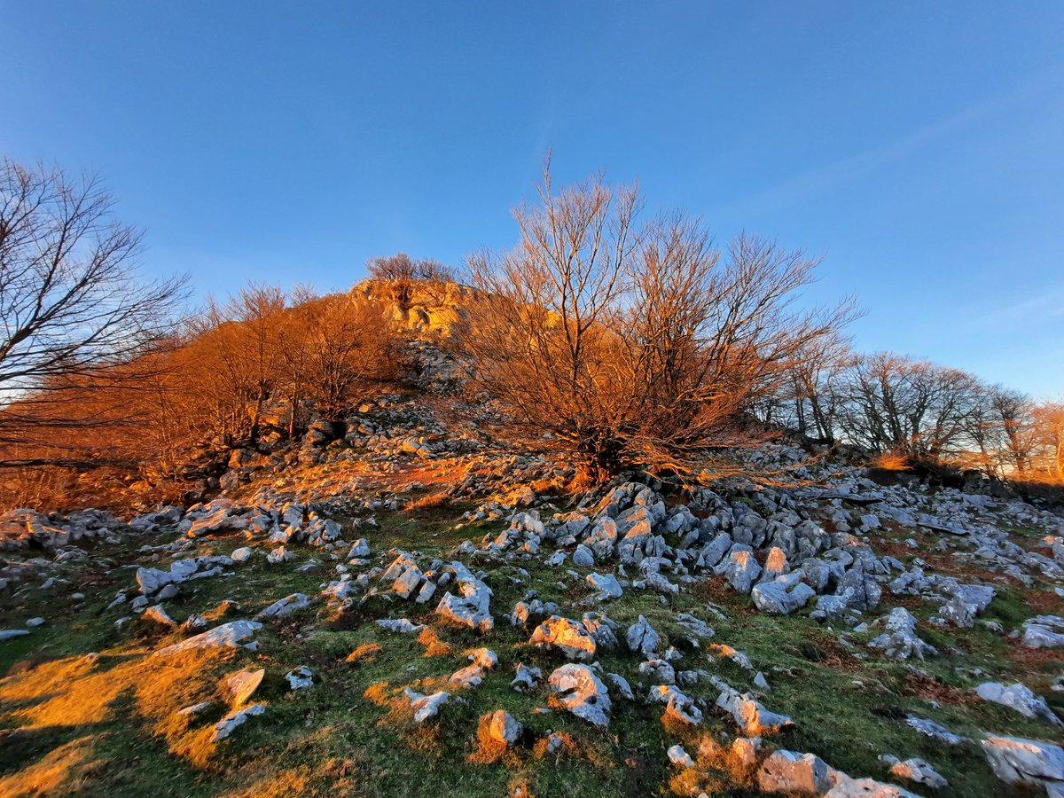 MeteoArratia's tweet photo. Orain dela aste bete... 🌄🥰
📍Lekanda
📍Axulargo begia 
@Ibarrameteo @asier_mendia @GorbeiaEuskadi @eguraldia @ubetxaga @Sakatiok https://t.co/EllkRBoY5f