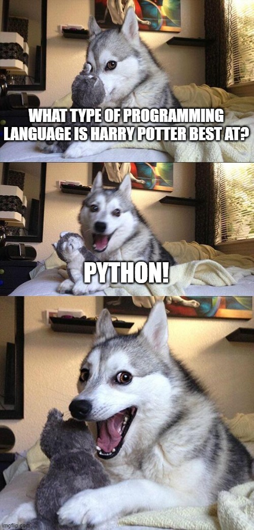 vgoliber's tweet photo. Saturday coding = Harry Potter + Python

#100DaysOfCode #WomenWhoCode #pythonlearning https://t.co/GVsmGQf7qk