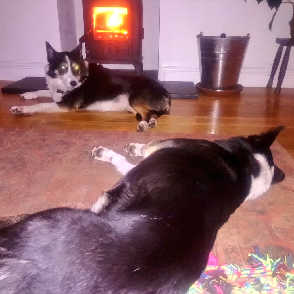 Nell & Jess tweet media