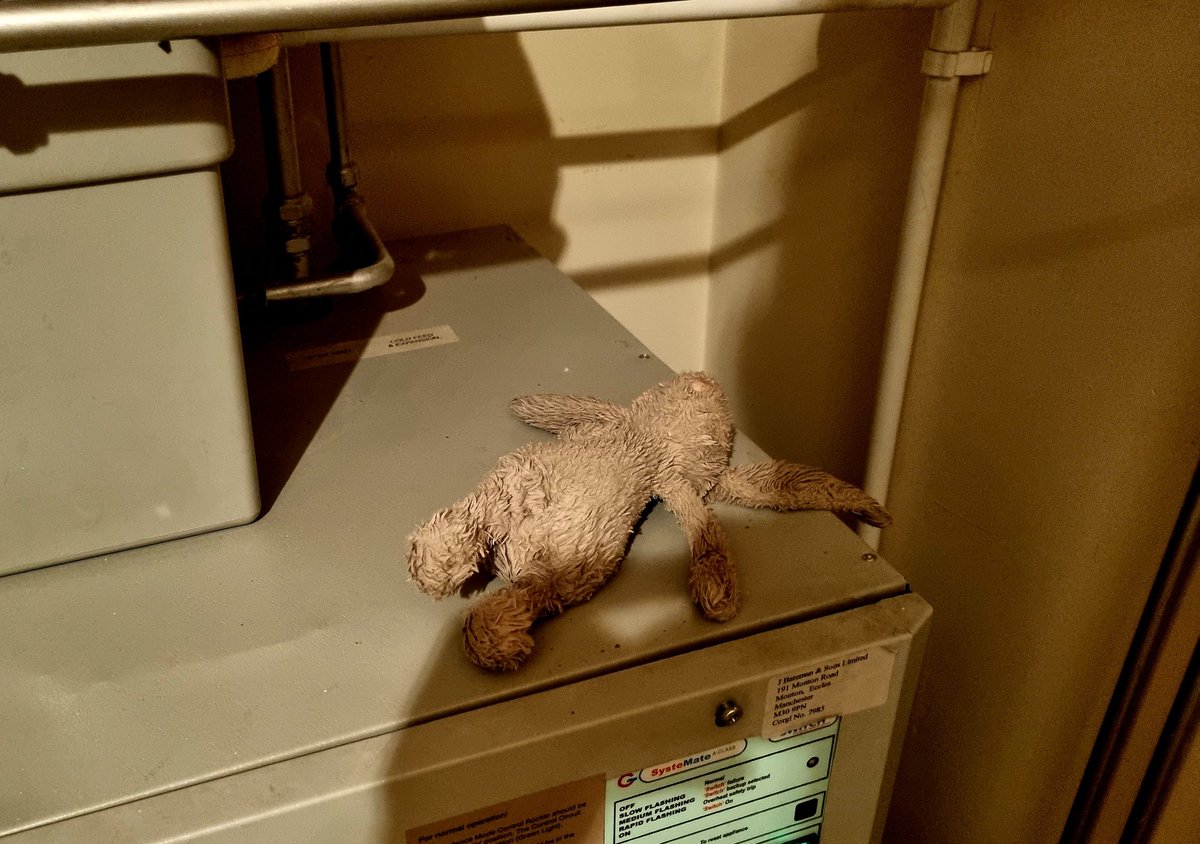 KieranFleury's tweet photo. There is something quite bleak about finding your daughters bunny drying in the airing cupboard #savebugsy https://t.co/bv8Co3dQUn
