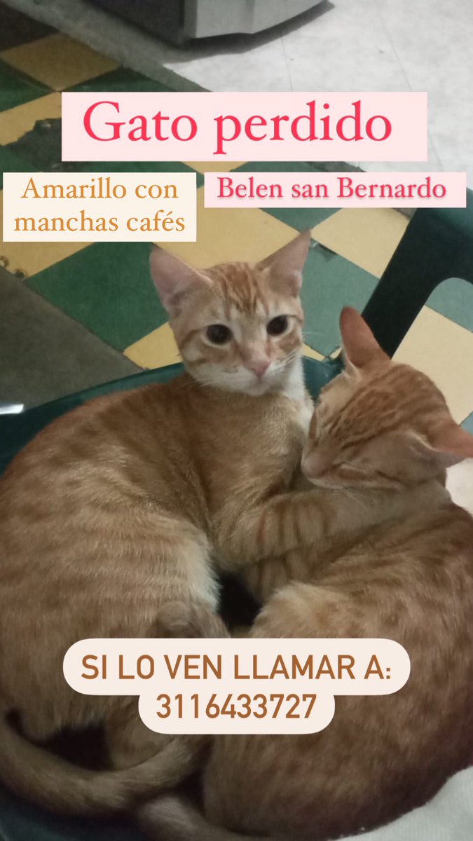 Juliaariasm's tweet photo. Por favor RT, es de mi Familia 🙏🏻🙏🏻 https://t.co/oPl6wTyHM9