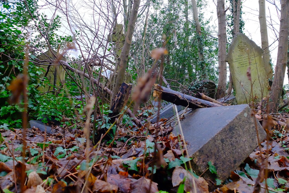 stuandliz's tweet photo. @sonyaphotoart #365in2022 Arnos Vale Cemetery in Bristol is an amazing walk back through time.
#arnosvale #Bristol https://t.co/stZoAz0dGa