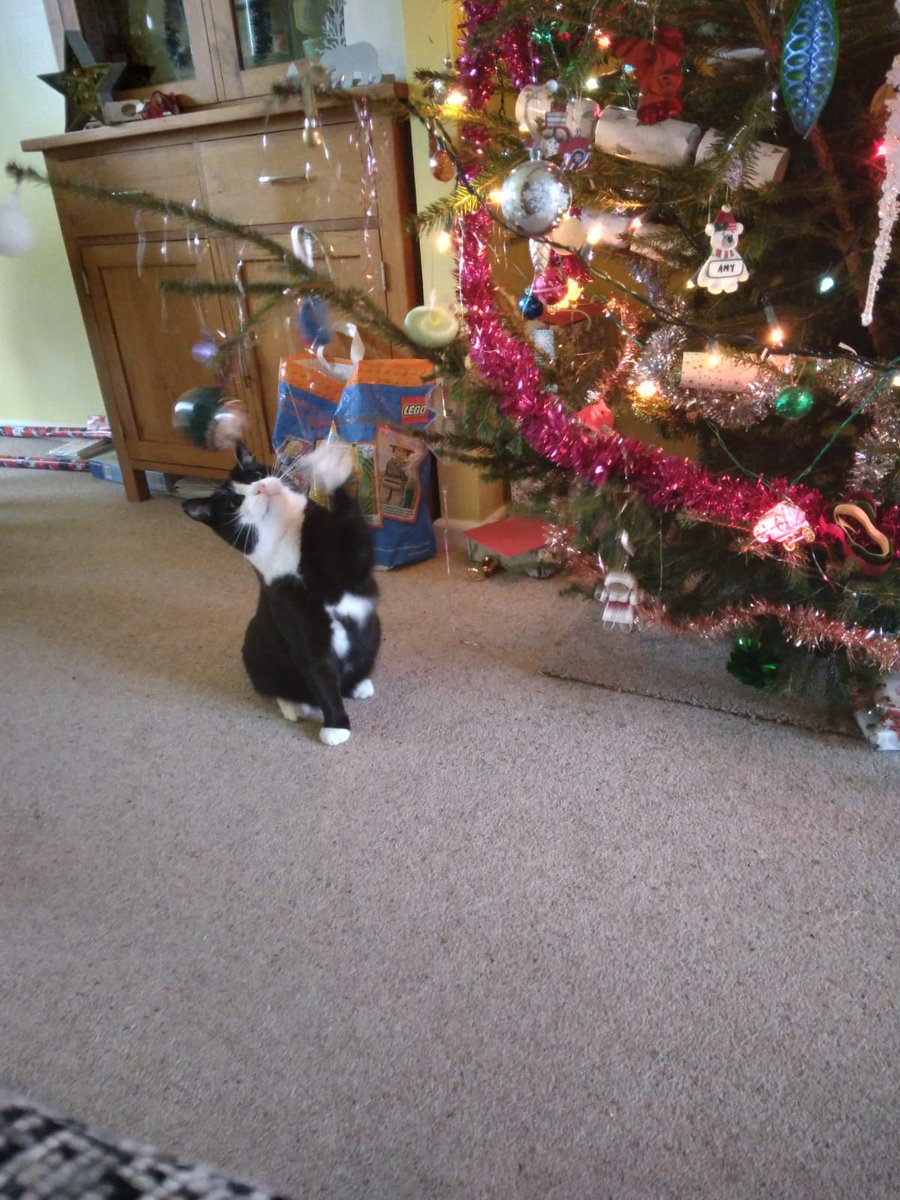 Sambikester's tweet photo. @WoldTransition @sbps_class6 Amy M's festive photos...Winter Wonderland - Flamborough, New Year's Eve. A Christmas Carol - Christmas cat! Christmas Curiosities - Lego Gingerbread House. #woldgatephotocomp21 https://t.co/OvgGNkuhGk