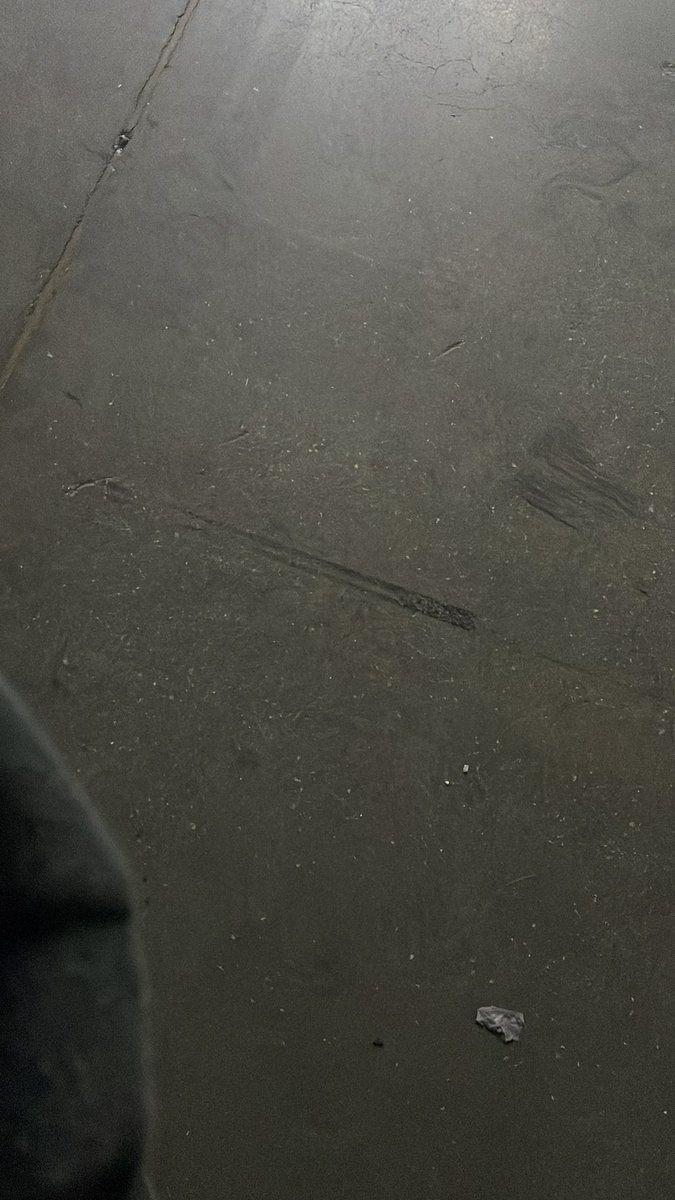 Cooki 🍪 tweet media