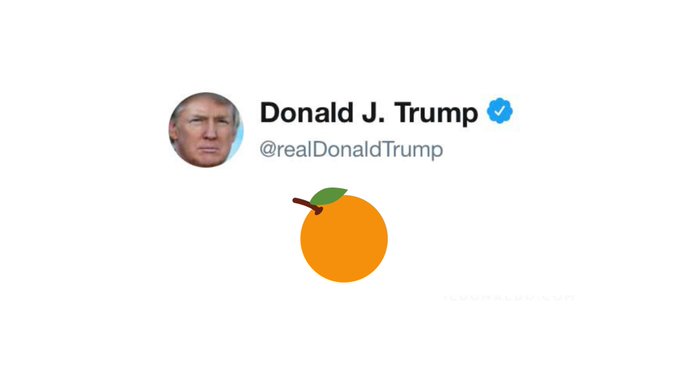 Today is the 1 year Banniversary. If you want to see President Trump back on Twitter, Retweet this so I can follow you! #orangelivesmatter #orangeday