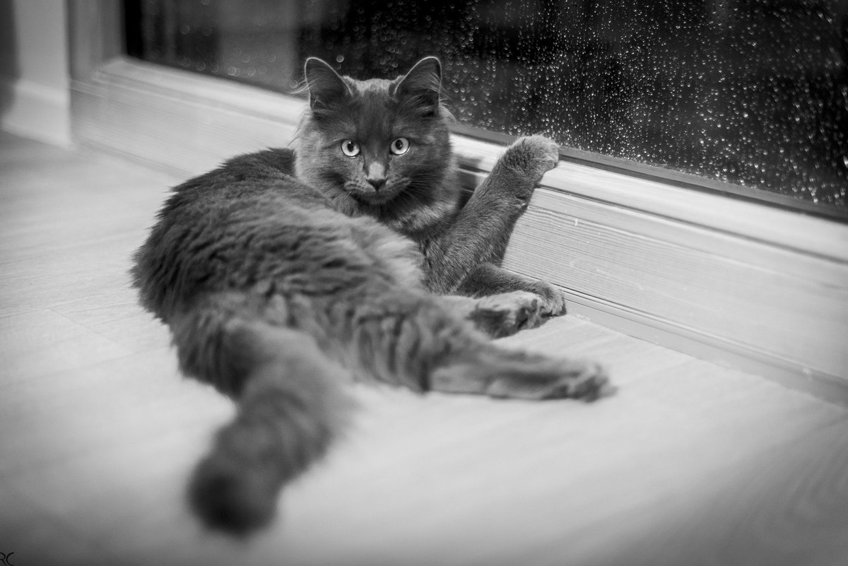 Regis CHUPIN (@chupinregis) on Twitter photo 