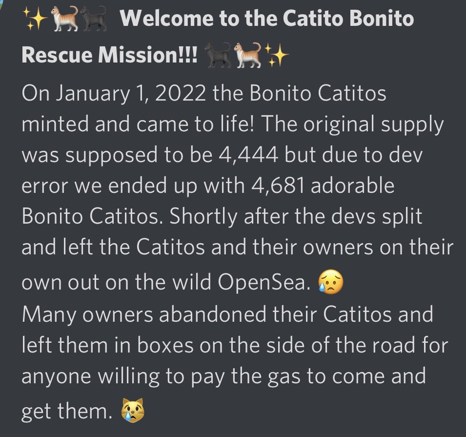 #welikecats Join the movement! 💪