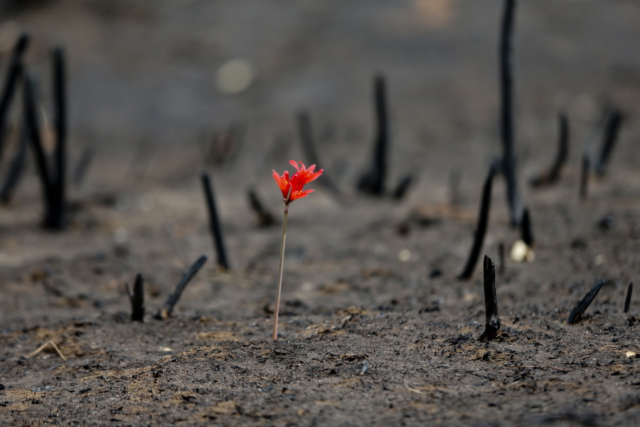 beckyJwrites's tweet photo. It’s been barely a week since the Marshall Fire in Boulder County. If you’re wondering how to help, consider making a donation to the Boulder County Wildfire Fund: https://t.co/N17FYobUSp https://t.co/5EvPVOwaZb
