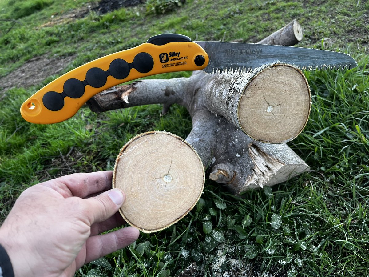 Cookies !!!!

 #huertotradicional #huertocuacos #cuacos #cookies #cuacosdeyuste