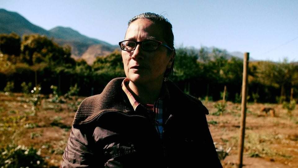 SECAS - DEFENSORA DE LAS AGUAS💧solidarizamos con nuestra compañera Verónica Viches, presidenta de la APR, Provincia de Petorca, Valparaíso. Hoy, una vez más, ha sido amenazada de muerte. Exigimos a Fiscalía Nacional #Abbott #FiscaliaNacional designe un fiscal exclusivo.

#Secas