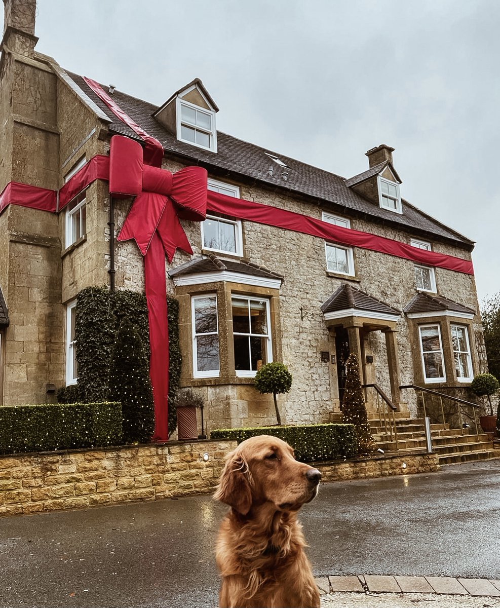 DormyHouse's tweet photo. Did I leave my straighteners on…💭🤔
.
#ifdogsthoughtlikeus #weveallbeenthere #dormydaydreams 📸 @thepropertypooch https://t.co/9krsj8ABFF