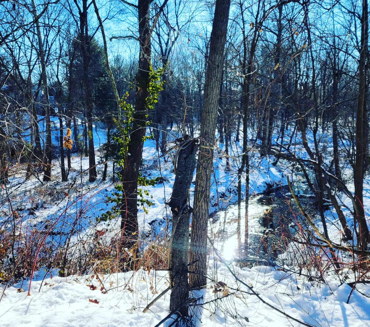 runSue19's tweet photo. 21 degrees, snow, icy patches, fields, goats and 10 miles done.πβοΈπ That was chilly, but always worth it! #loveyourrun #teamultra #alteregorunning #honeystinger #mindovermatter #marathontraining #longrun #madein81 #mappingphroads https://t.co/e1hDcACJLr