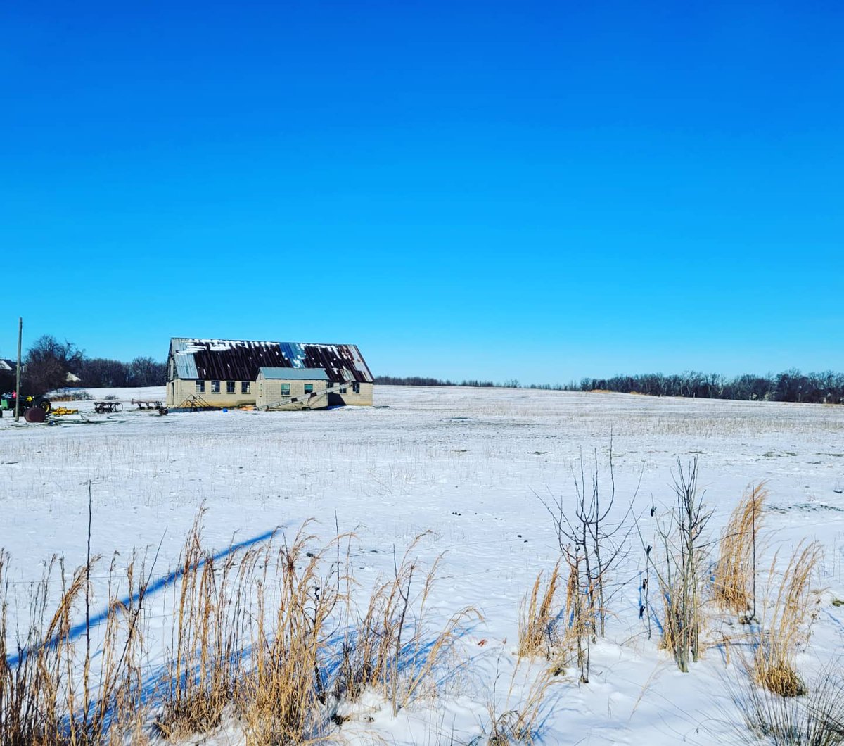 runSue19's tweet photo. 21 degrees, snow, icy patches, fields, goats and 10 miles done.πβοΈπ That was chilly, but always worth it! #loveyourrun #teamultra #alteregorunning #honeystinger #mindovermatter #marathontraining #longrun #madein81 #mappingphroads https://t.co/e1hDcACJLr