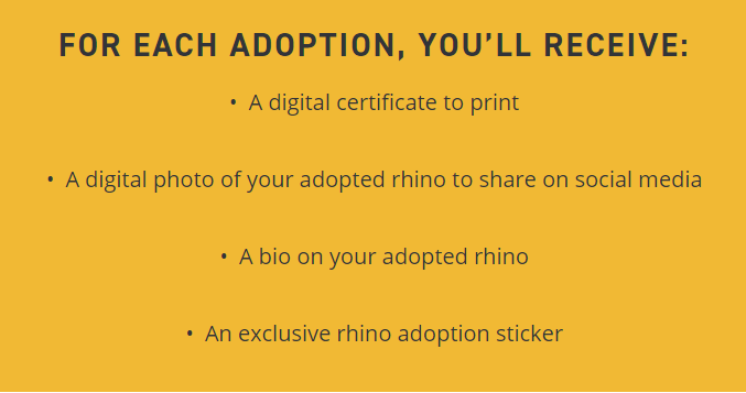 RuthlessRhinosNFT tweet media