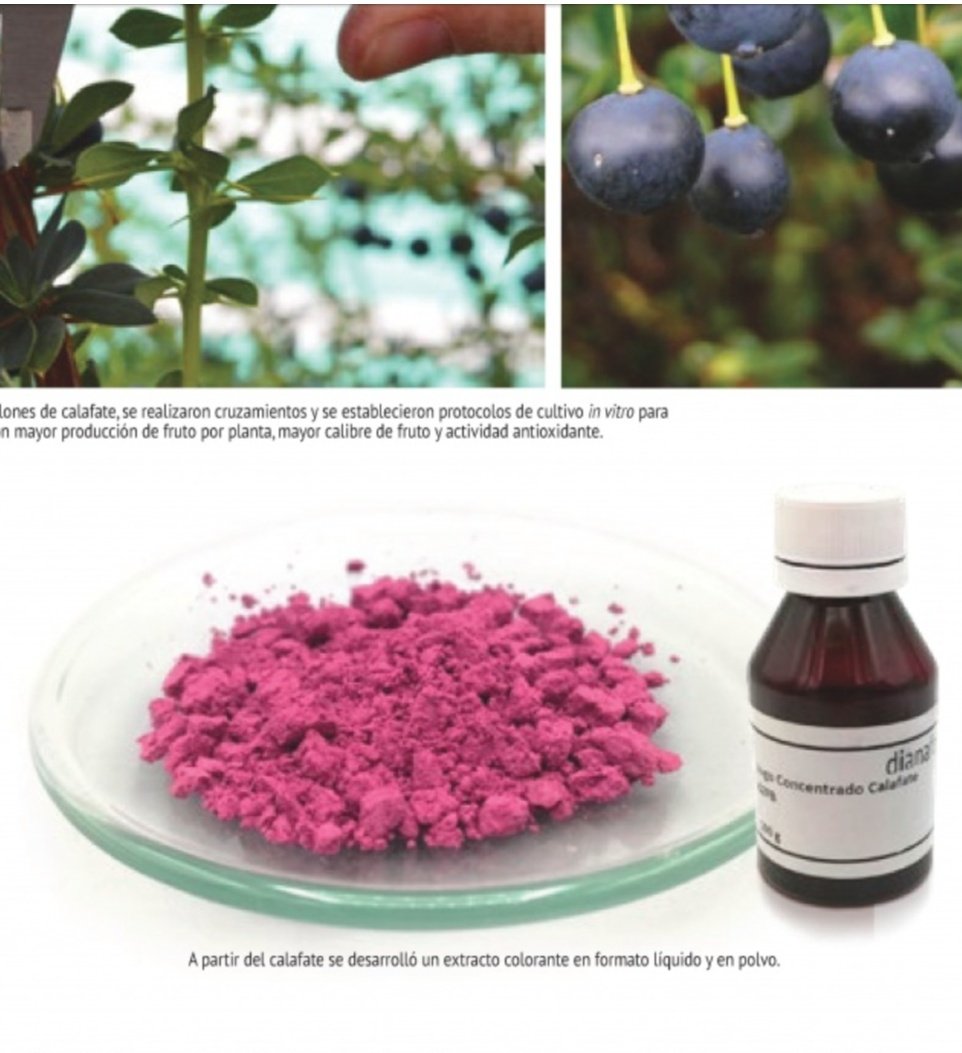 A buena hora!!!. Parlamentarios presentaron proyecto de ley para prohibir el uso de colorantes artificiales en la fabricación de alimentos, muchos de estos ya fueron prohibidos en varios países
<a href="/iniachile/">INIA Chile</a> <a href="/FIA_Chile/">FIA</a> <a href="/MinagriCL/">Ministerio de Agricultura de Chile 🇨🇱</a>. Proyecto de ley: chilealimentos.com/chilecrecesano…