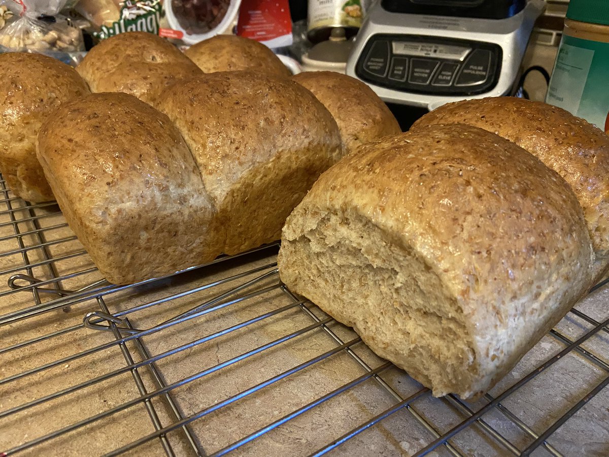 Guylafur's tweet photo. Another batch of whole wheat bread, or as Bonita the Newfoundland woman who’s recipe I used called it “‘Ole wheat ‘n’ ‘oney” bread. #studabaker https://t.co/MJ1BZjc0nq