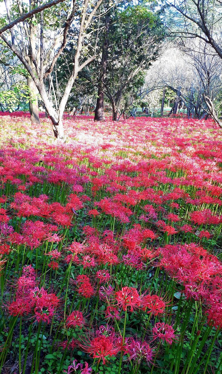 George Kim (@georgek40116784) on Twitter photo 