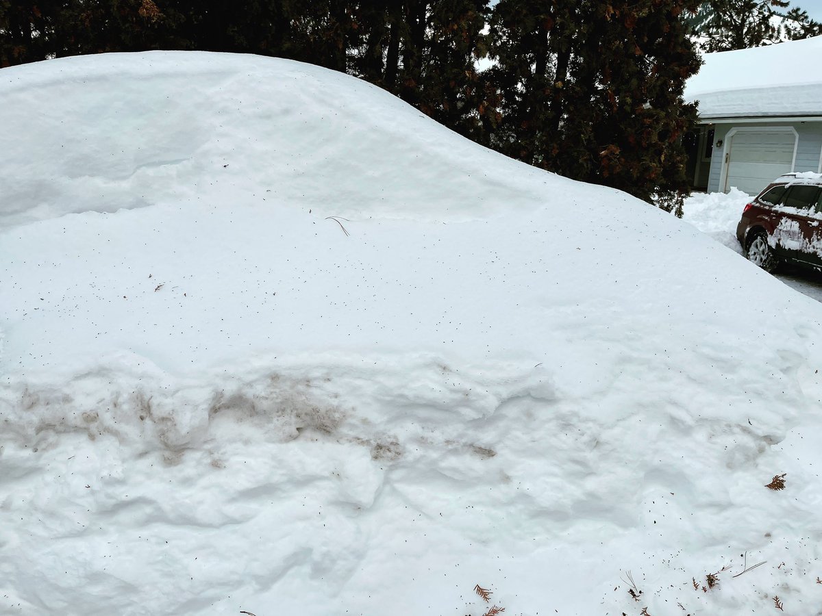 inquireofficial's tweet photo. Duuude Whereโs My Car????
Digging my cars out and clearing the driveway was an intense battle against nature. #dudewheresmycar #snow #snowstorm #cascademountains #leavenworth #cashmerewa https://t.co/woawKfWVs9