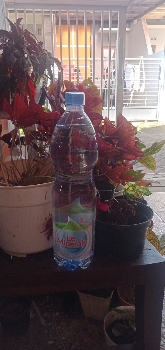 otlet the jak di mlg tweet media