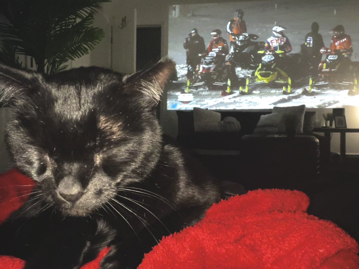 SpeedShiftDshan's tweet photo. 🐈‍⬛ ❄️ #polariswatchparty @snocross @SpeedShiftHaley https://t.co/gnyRmbAetu
