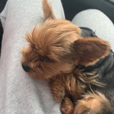 DiegoVaronaaa's tweet photo. #NewProfilePic https://t.co/UT5g6FyJkM