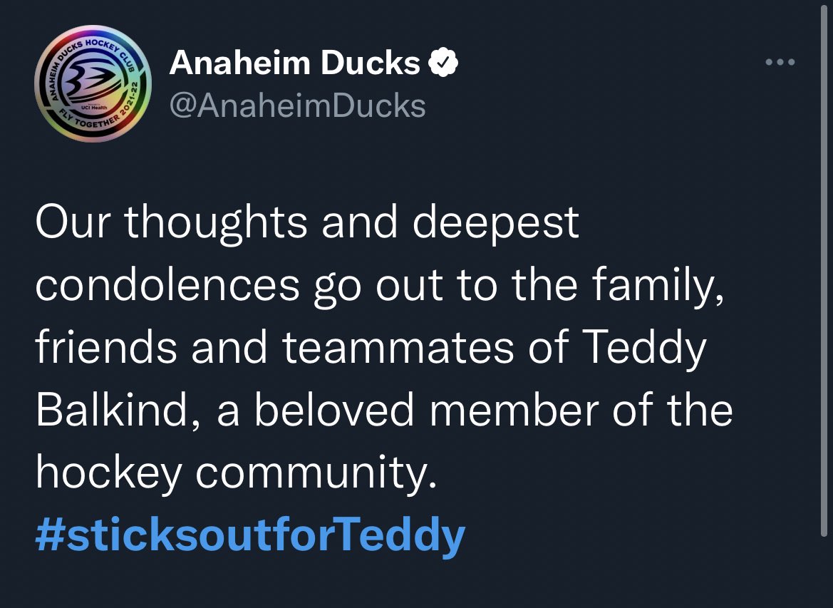 My condolences go to the family of Teddy Balkind a <a href="/CampAwosting/">Camp Awosting</a> camper who has tragically passed away after a hockey accident. 

<a href="/AmeriCamp/">AmeriCamp</a> sends its love to you all at such a difficult time. 

We heard Teddy was a legend. From the pictures you can see why.

#sticksoutforTeddy