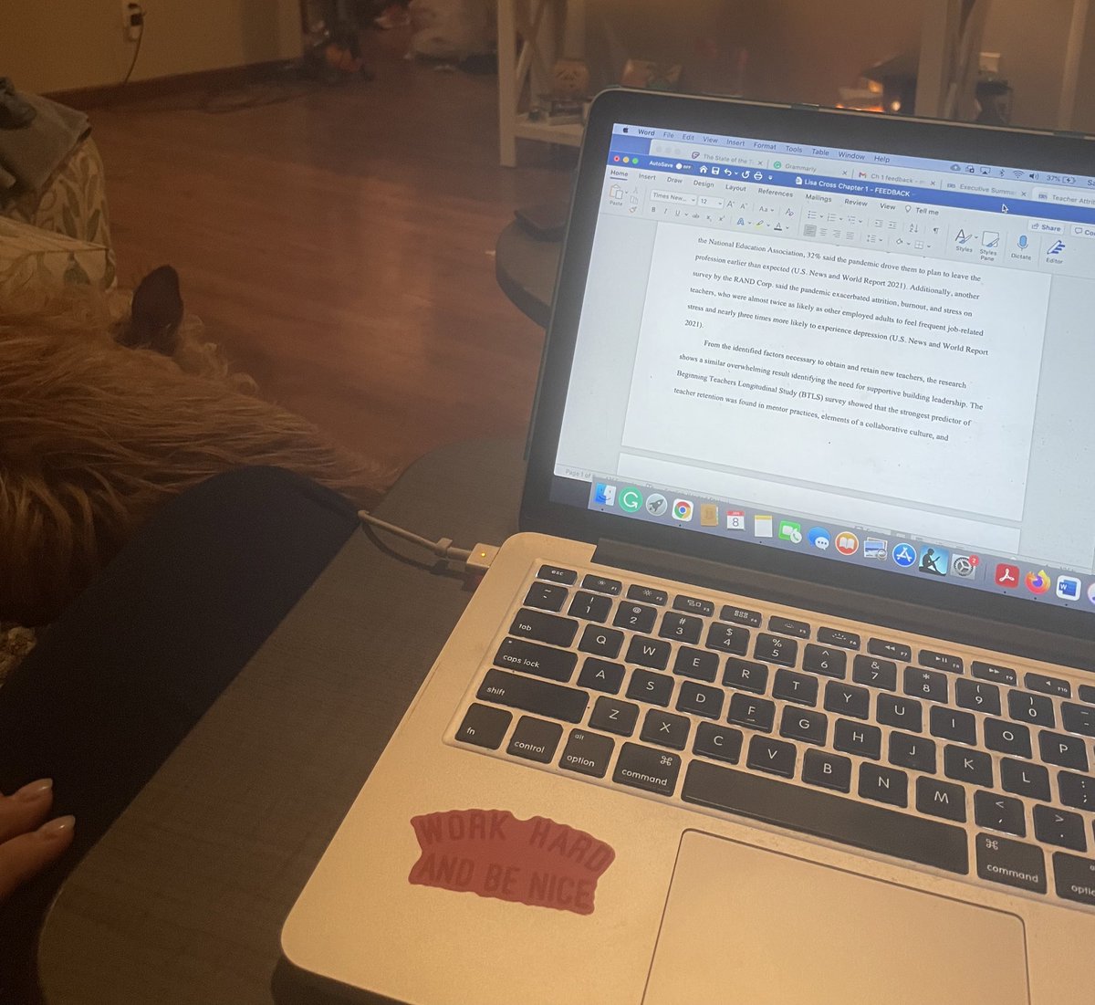 Lisa_MCross's tweet photo. Exciting night over here 👇🏻 knee deep into #Dissertation edits, as you can see Igor 🐕 is way excited too 💤 #DissertationOrBust #LifeOfALate30Something #KnockItOut 🥊 https://t.co/05rd9U1n4l