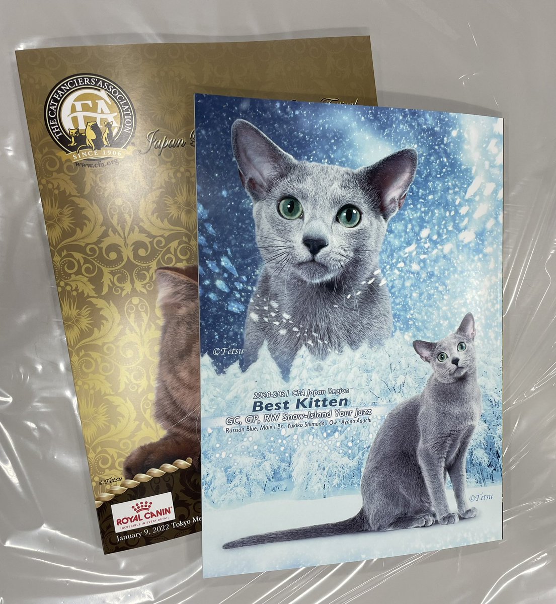 SNOW_ISLAND_RB's tweet photo. キャットショー会場到着！
新年頭のリジョナルショー、カタログの裏表紙は昨年ジャパンリジョンベストキツンのじぇいくんです。 https://t.co/ZjnQkS8dm6