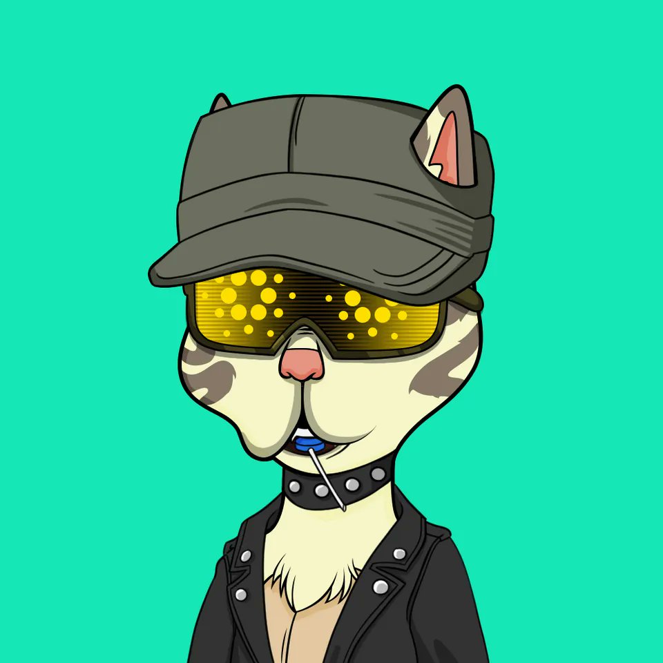 Newest member of the Boss Cat Rocket Club with @McMccicero #CNFTs #BossCatRocketClub #Cardano #ADA #NFTs