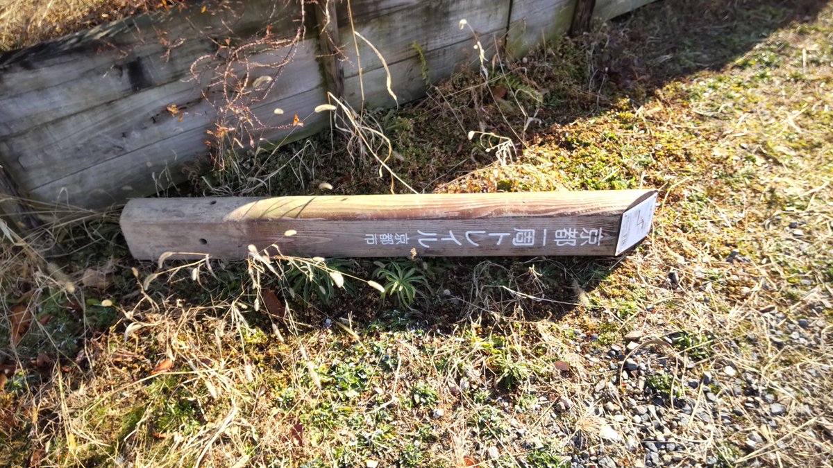 ryukoku18's tweet photo. 大岩展望台
京都トレイルの標識が引き抜かれています

どこにいえばいいのやら？ https://t.co/DWLfdNAidS
