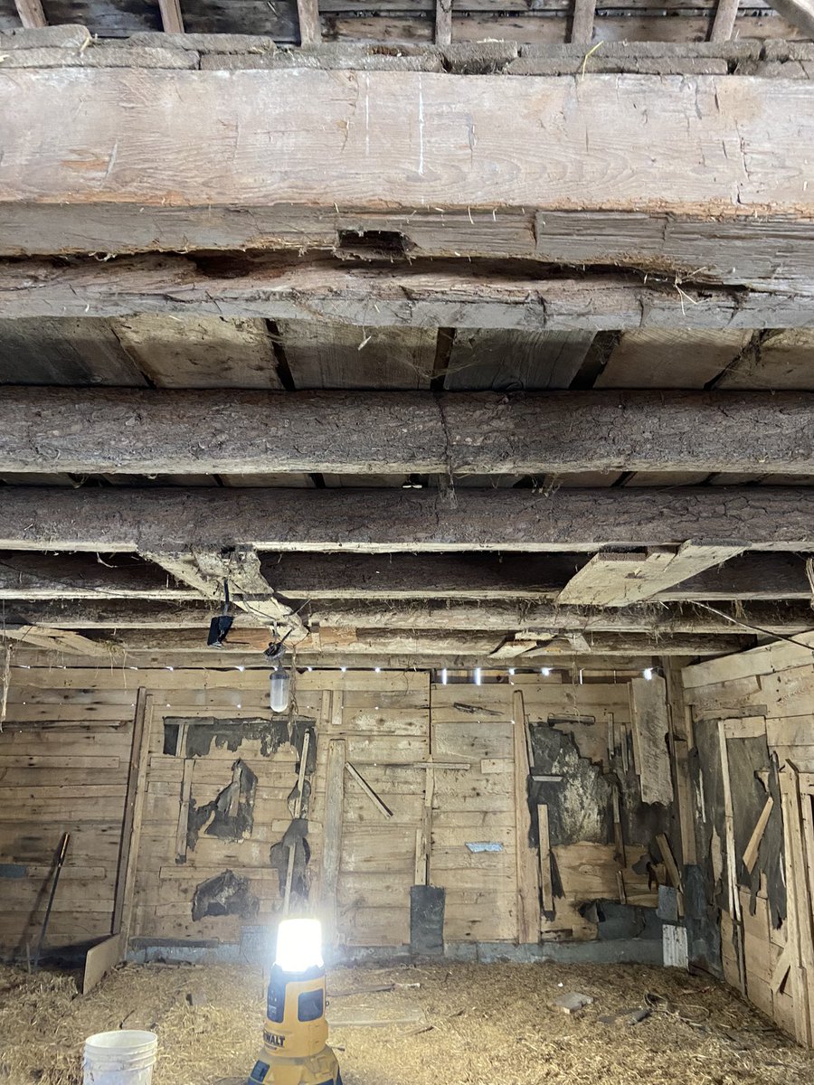 Shawzy_166's tweet photo. Old bank barn wood for sale along with old wood beams and doors inquire for pricing 519 994 4711 retweets appreciated some really nice dry wood https://t.co/zd6KBoasNJ