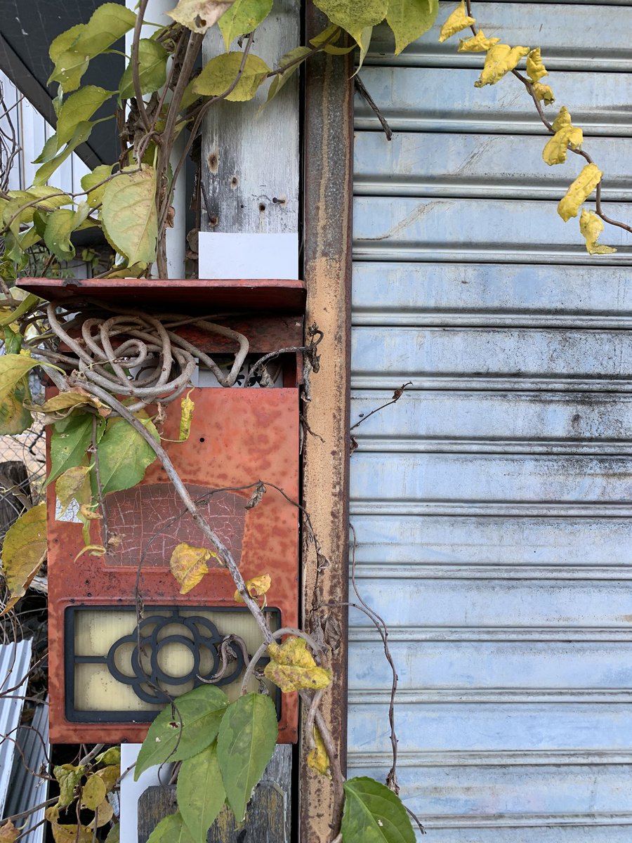 HiroTakeuchi's tweet photo. 主観的小景高知
Mailbox.
The scenery of the suburbs of Kochi City in Japan from my point of view and the interesting parts.
#Mailbox
#oldmailbox
#Rust
#Ivy
#Storeshutter https://t.co/BV9UdUlCJx