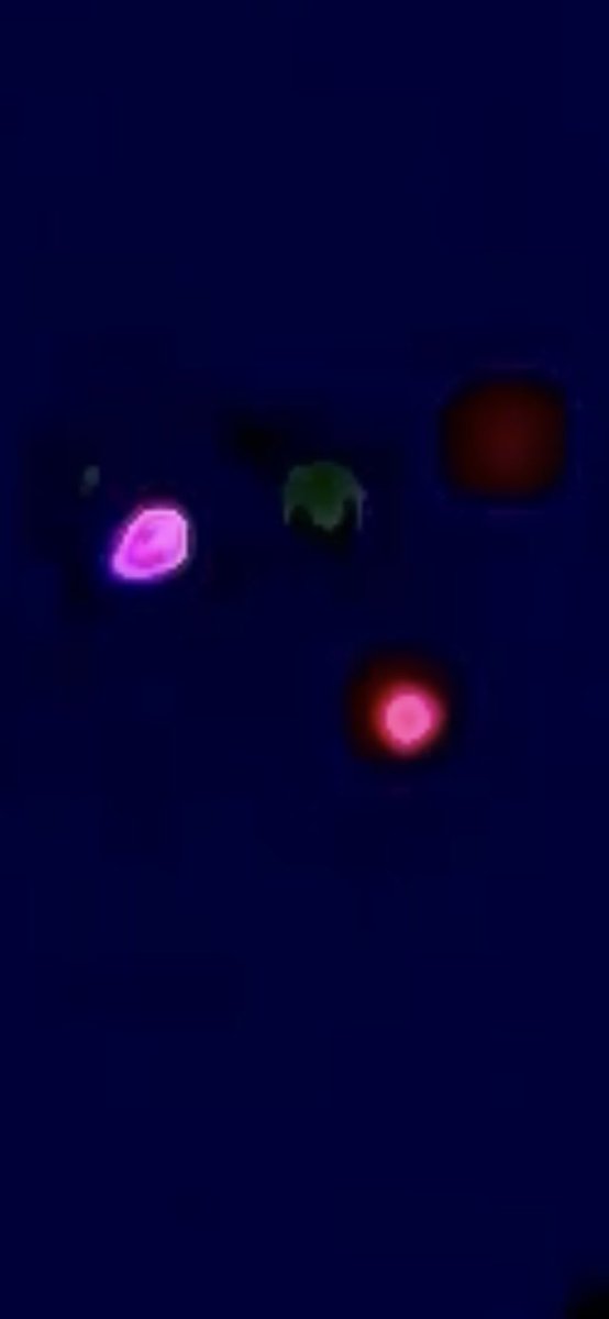AlienatedLights's tweet photo. Other fun stuff I found…

It appears there are various objects &amp; they can all fly separate or mesh with eachother. I’ve never seen any interactions like the ones I have seen in this video, in nature or in fiction. I’ll post some more tomorrow, this thread is long enough lol 🖖👽 https://t.co/6jCWZcsefu