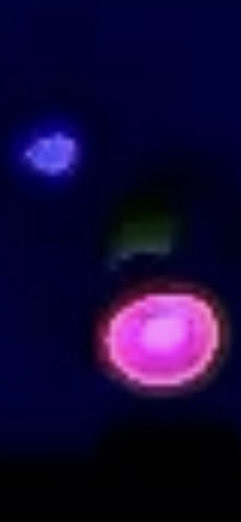 AlienatedLights's tweet photo. Other fun stuff I found…

It appears there are various objects &amp; they can all fly separate or mesh with eachother. I’ve never seen any interactions like the ones I have seen in this video, in nature or in fiction. I’ll post some more tomorrow, this thread is long enough lol 🖖👽 https://t.co/6jCWZcsefu