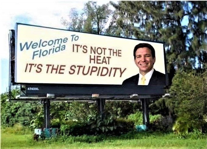 RosanneR429's tweet photo. @funder @duty2warn https://t.co/ITAXDz8MMx