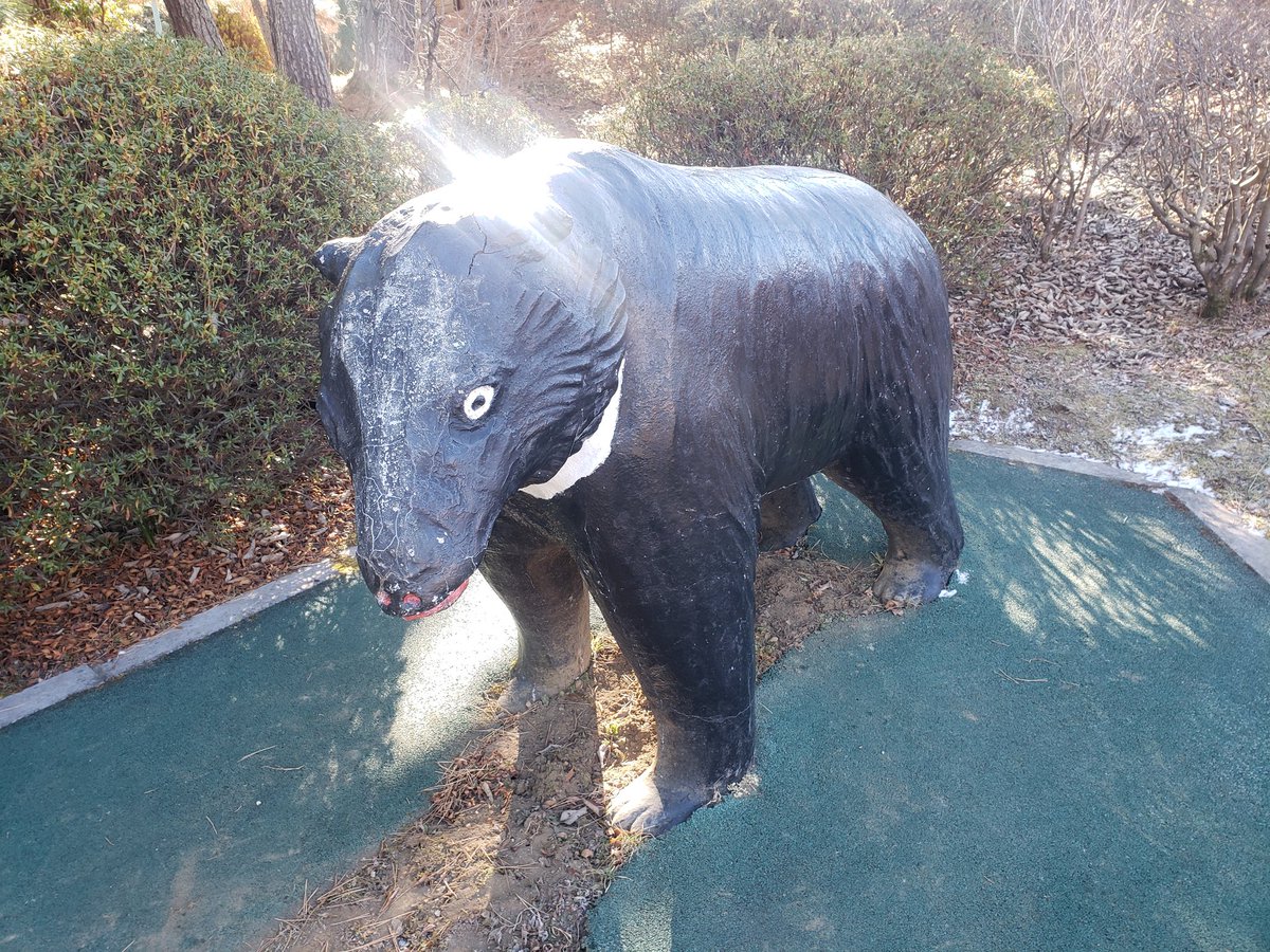 本日の営業情報】 園内のどこかにいるクマ🐻 探してみてね👀 営業時間