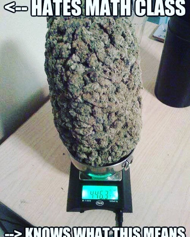 GetYoursStores's tweet image. Always hated math class lol 😆 😂  But I learned enough to read a scale!! 
#hellyeah #hatemath #loveweed #massivebud #smokeup #shoplocal #getyours #barrevt