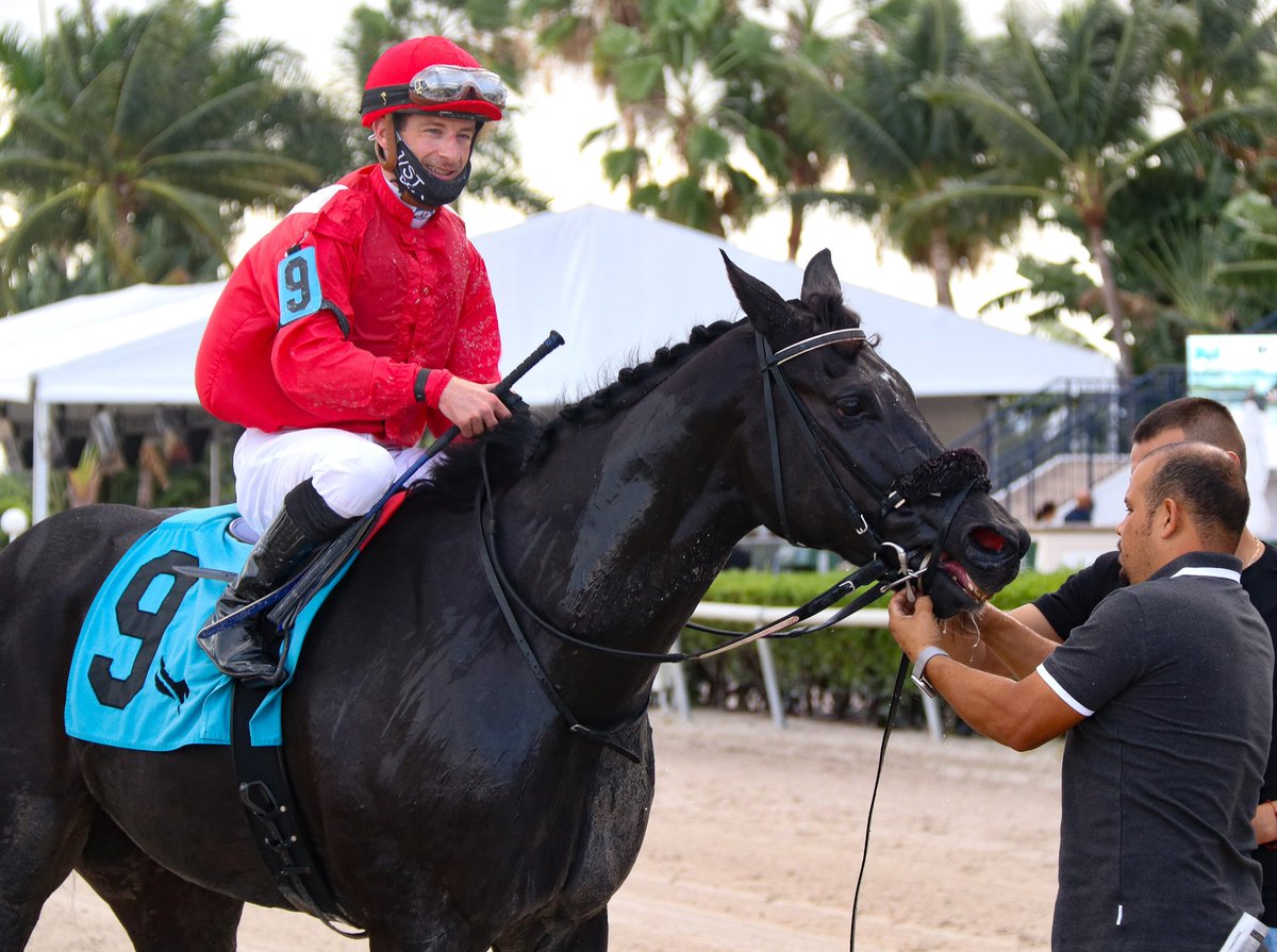 GulfstreamPark's tweet photo. Thinkaboutit gets up in time to upset race 9, Edward Plesa Jr is the winning trainer, Marion Montanari is the winning owner, back to back victories for @JulienLeparoux! #GulfstreamPark #ChampionshipMeet https://t.co/MgRqF8cmMK