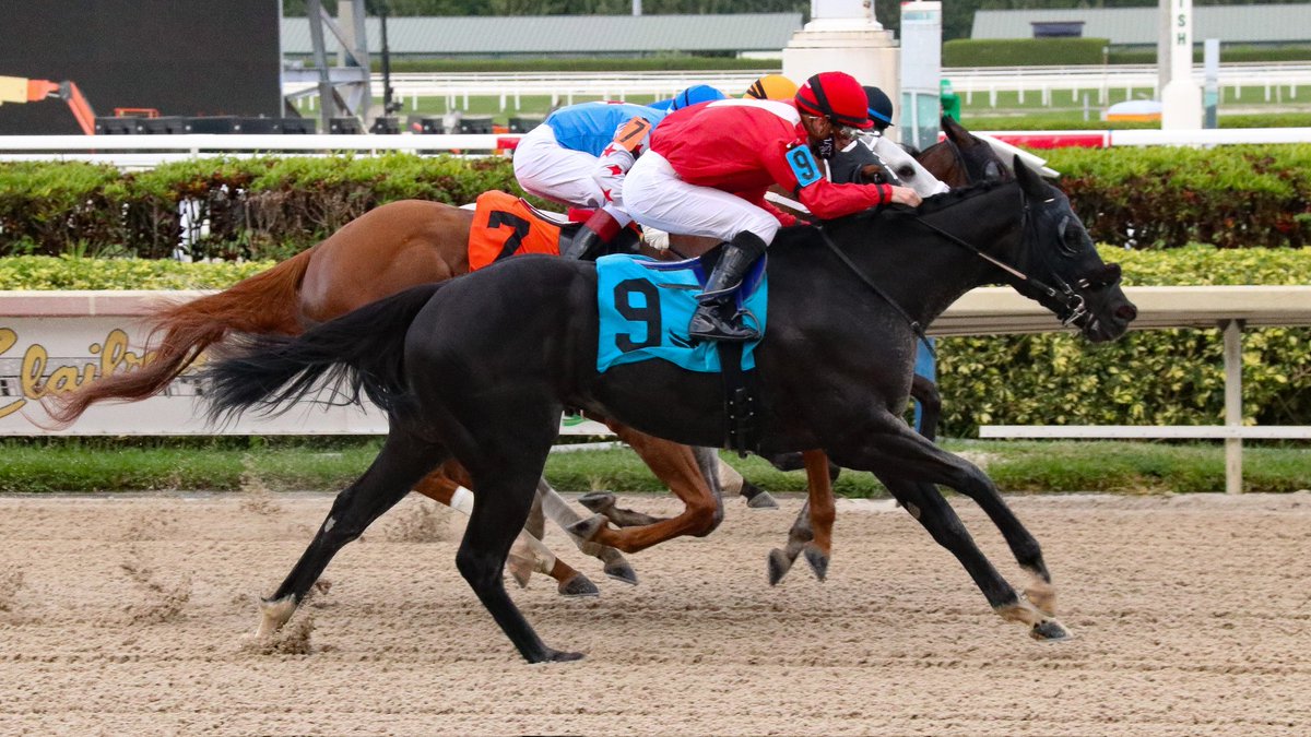 GulfstreamPark's tweet photo. Thinkaboutit gets up in time to upset race 9, Edward Plesa Jr is the winning trainer, Marion Montanari is the winning owner, back to back victories for @JulienLeparoux! #GulfstreamPark #ChampionshipMeet https://t.co/MgRqF8cmMK