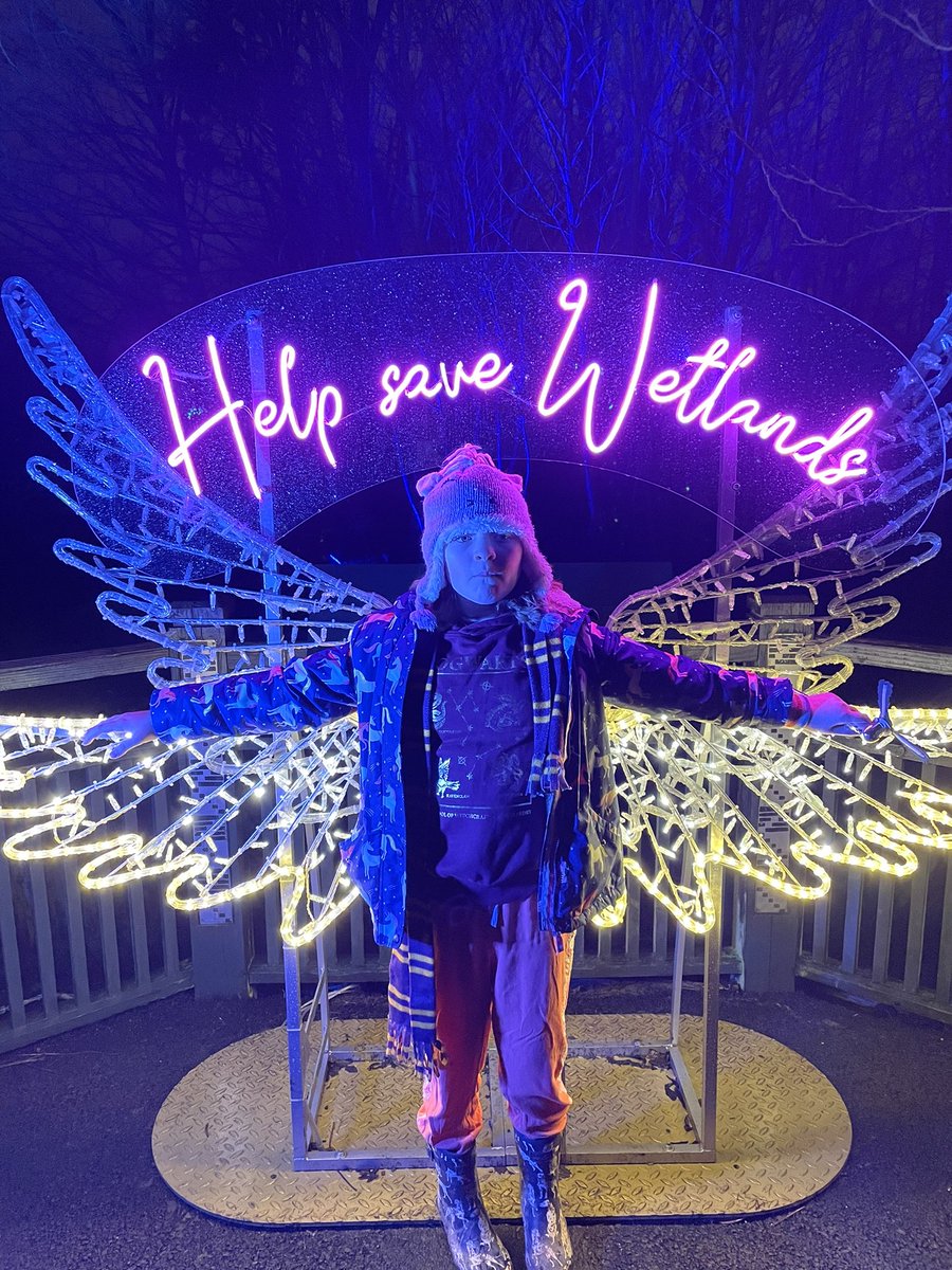 queenofthestow's tweet photo. Luminature at the WWT Wetlands Centre in Barnes today, a postponed activity from our Covid Christmas. Absolutely brilliant! #365outside #WetlandsBarnes #luminature #lights https://t.co/qcyryW89Ek