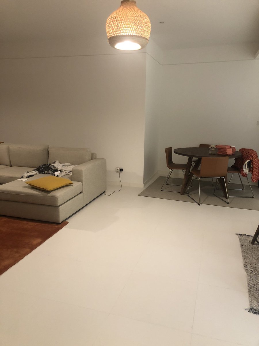 There is no cat in this image (@thereisnocat_) on Twitter photo 