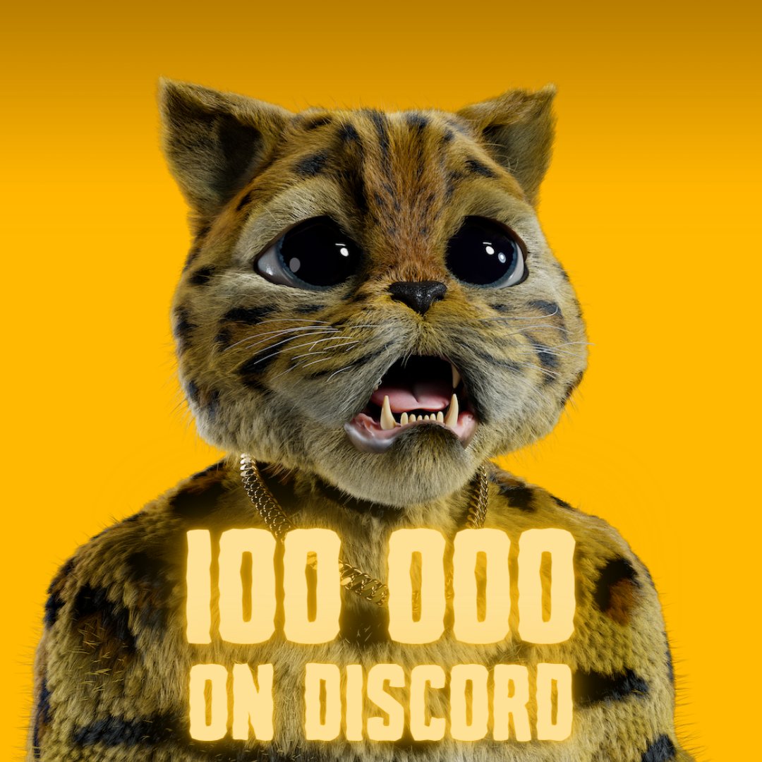 Kitty Crypto Gang (@kittycryptogang) on Twitter photo Not even the time to finish the 50 000 celebrations than we are already at 100 000 members in our discord with 20 000 online. Just two words THANKS YOU! 😻
Biggest announcement live in the Discord about Roadmap & Website Reveal, Mint, Whitelisting ... Not even the time to finish the 50 000 celebrations than we are already at 100 000 members in our discord with 20 000 online. Just two words THANKS YOU! 😻
Biggest announcement live in the Discord about Roadmap & Website Reveal, Mint, Whitelisting ...