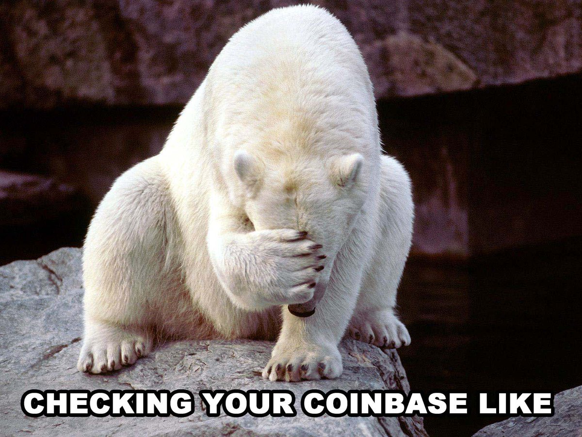 PawlarBearNFT's tweet photo. Well well, good time to buy! Have a pawsome weekend y'all! #crypto #eth #Bitcoin #nft #nftgiveaway #SHIB #shibaINU https://t.co/tZkmk4jmSe