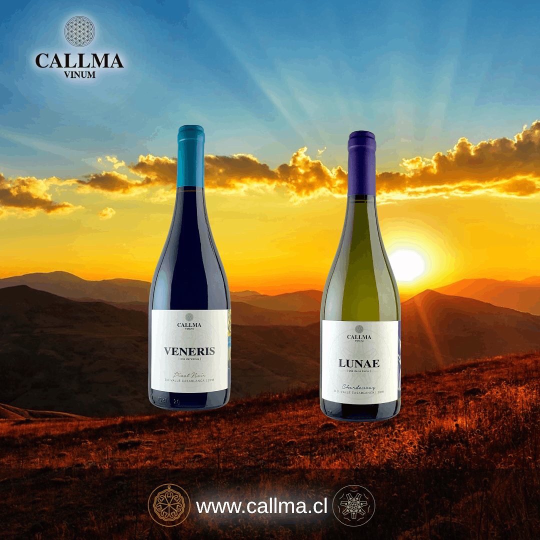 CallmaVinum's tweet photo. El #vino es transformación y creación, desde las raíces profundas hacia la luz hay un fruto que crece y se desarrolla, que se deja envolver en los cambios para poder perpetuarse, para poder conectar al ser humano con la tierra y el cielo https://t.co/8VESDIfP7n #chileanwine #vino https://t.co/rskFiQYx7S
