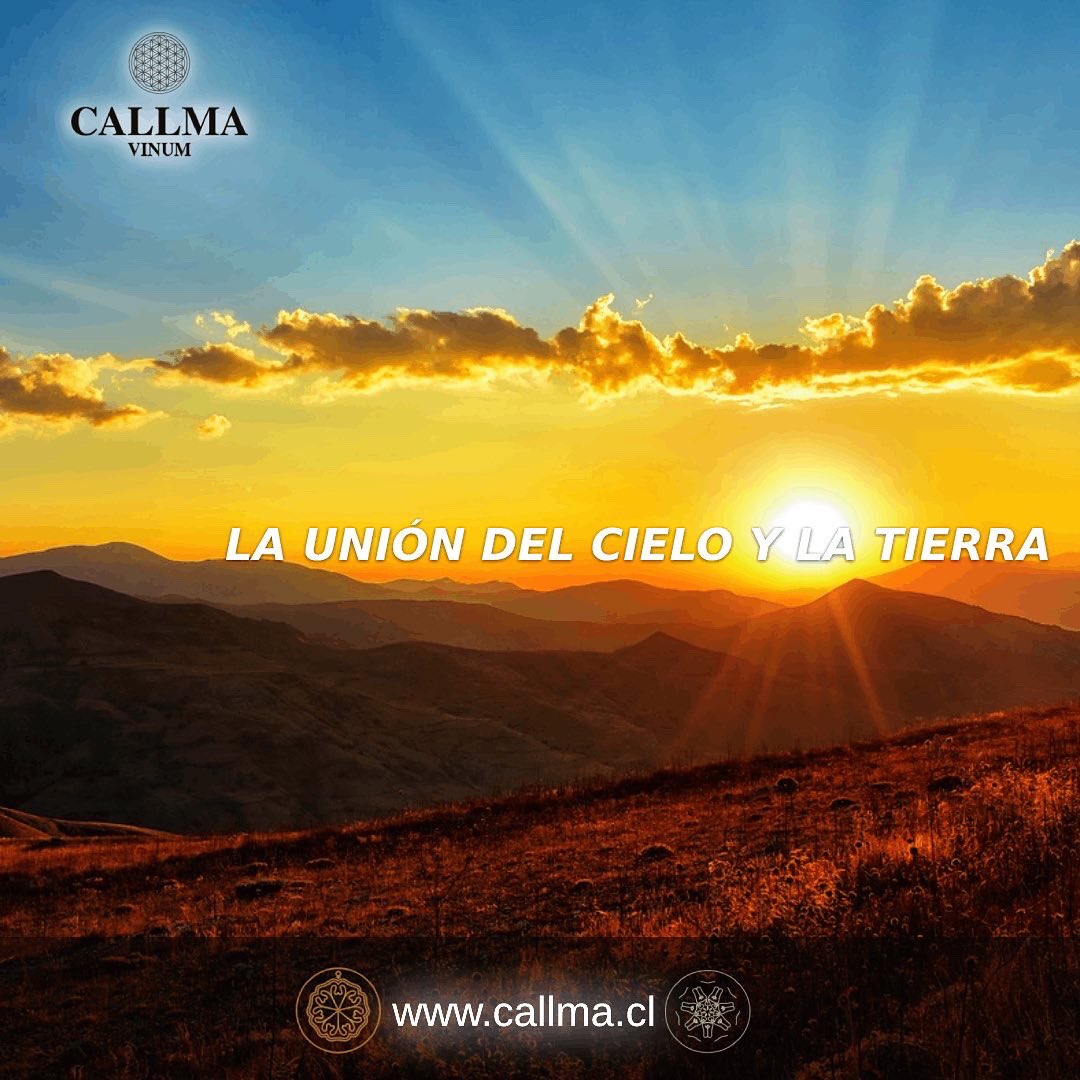 CallmaVinum's tweet photo. El #vino es transformación y creación, desde las raíces profundas hacia la luz hay un fruto que crece y se desarrolla, que se deja envolver en los cambios para poder perpetuarse, para poder conectar al ser humano con la tierra y el cielo https://t.co/8VESDIfP7n #chileanwine #vino https://t.co/rskFiQYx7S