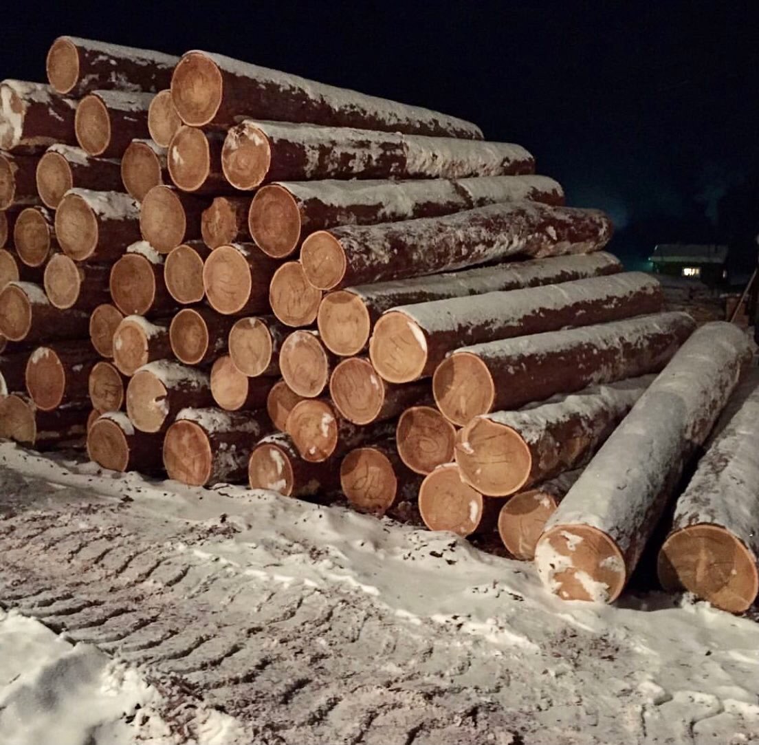 ExpertTimber's tweet photo. Night shift🌲😉Working...
Welcome to us for our Siberian larch! 
https://t.co/yE2hijNzuY #wood #wooden #timber #lumber #Construction #export #Russian #woodworking https://t.co/lTZQpDuDPq