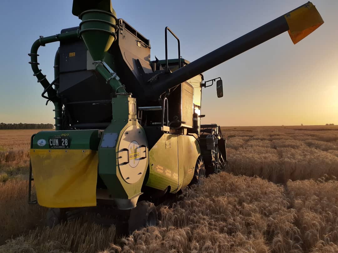 Federico Moreyra tweet media